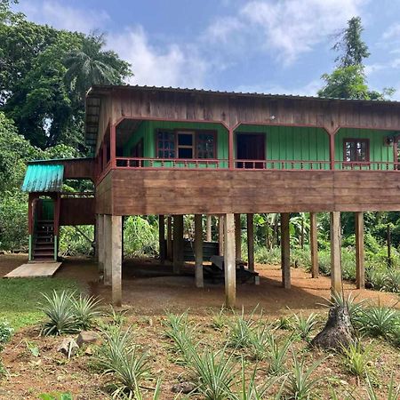 Hotel Casas Salomao Santo António Exterior foto
