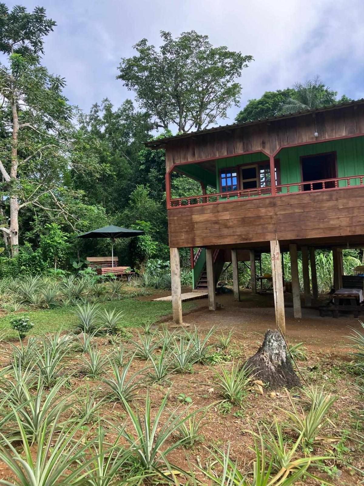 Hotel Casas Salomao Santo António Exterior foto